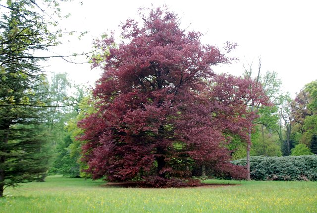 landgoed zevenberg_45